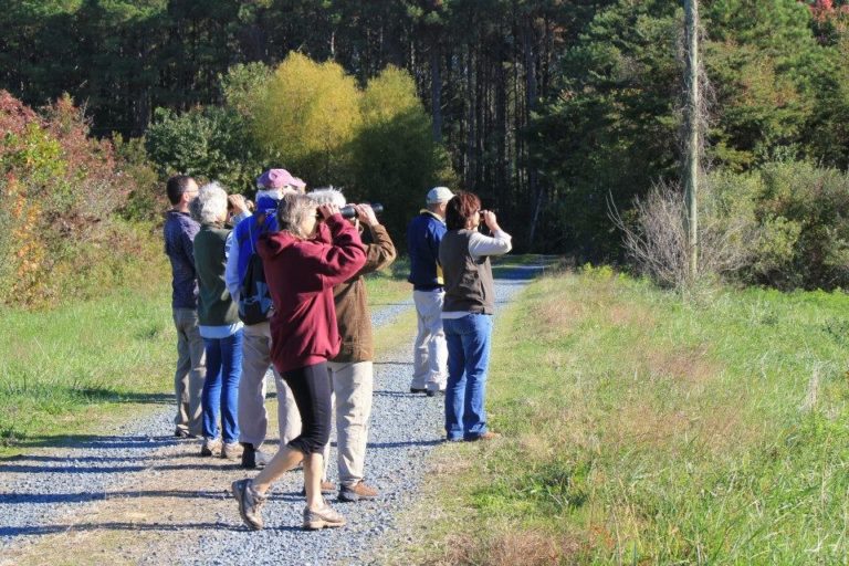 lower shore land trust4 768x512