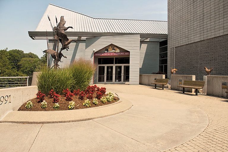 ward museum3 768x513