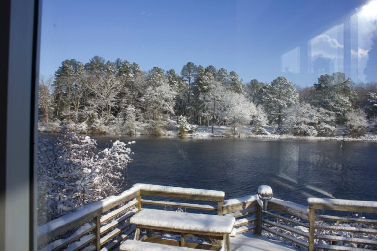 ward museum4 768x512