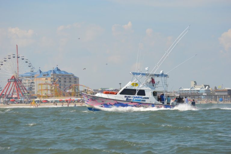 watery world 768x511