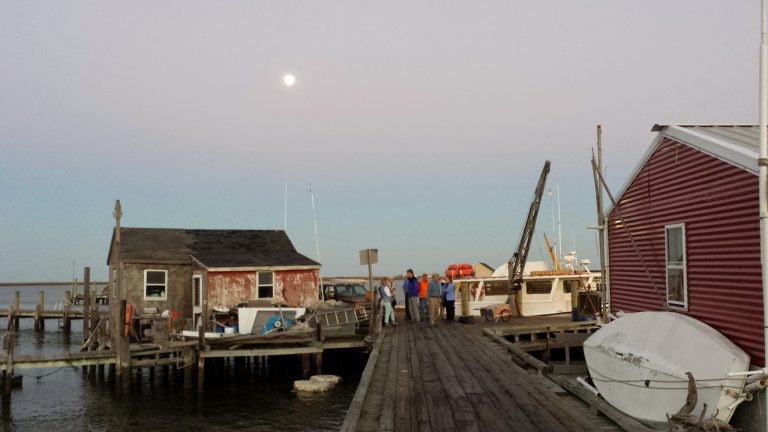 smith island 1 768x432