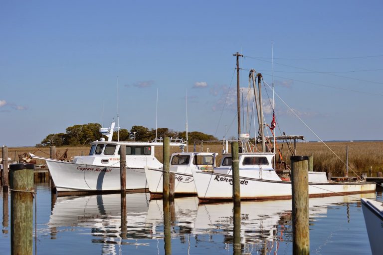 smith island work boats 768x511