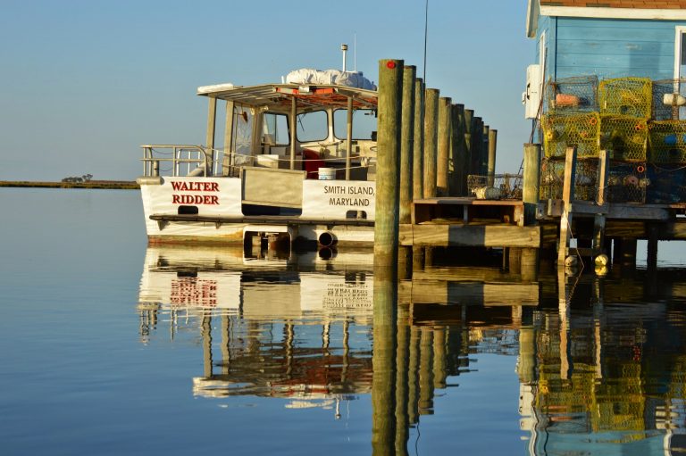 walter ridder smith island 768x511