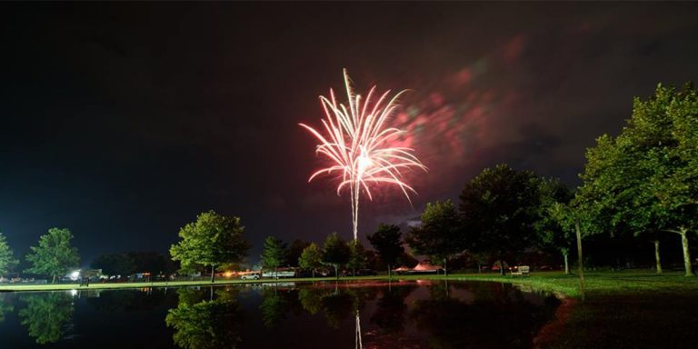 county fair 1 768x384