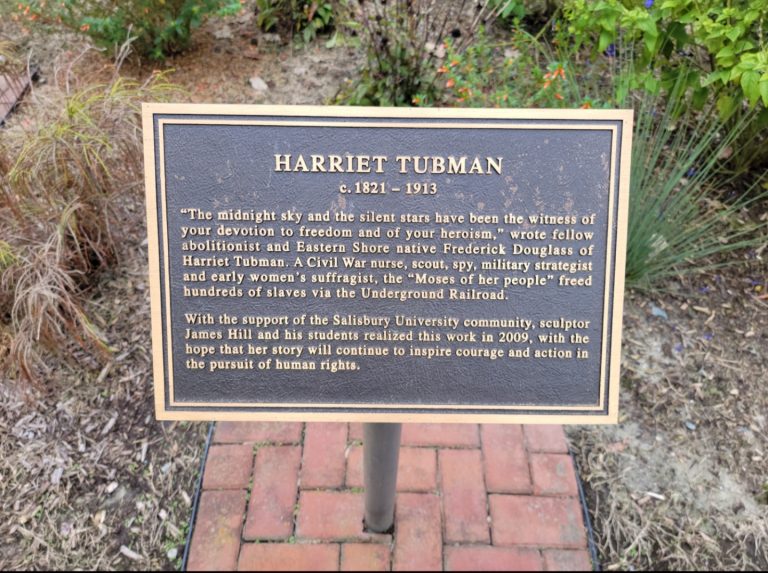 Screenshot 20230928 121155 Gallery 1 768x573