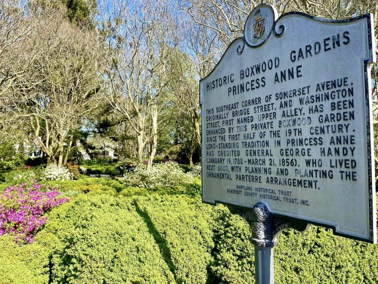 342467829 1402988740491717 9149003492924710294 n 768x576