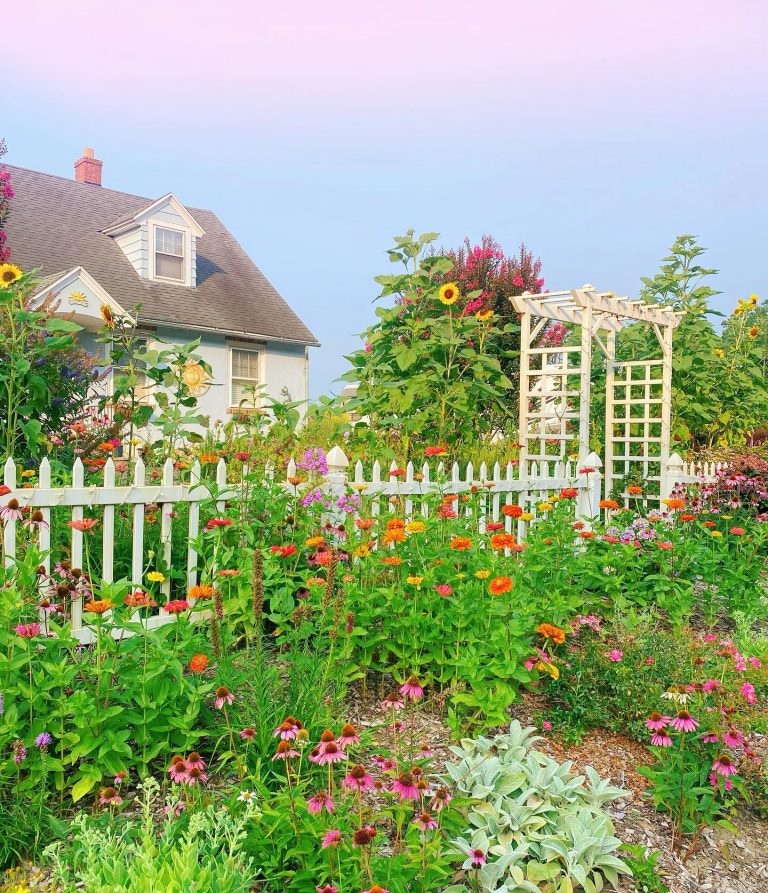 assateague farm 1 768x893