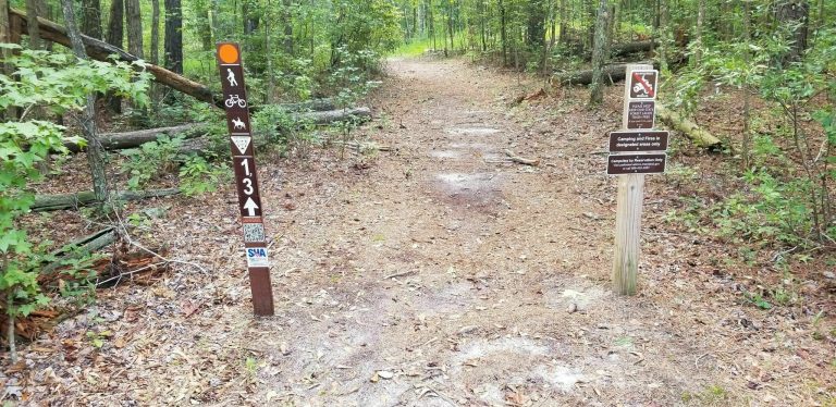 orange trail 768x374