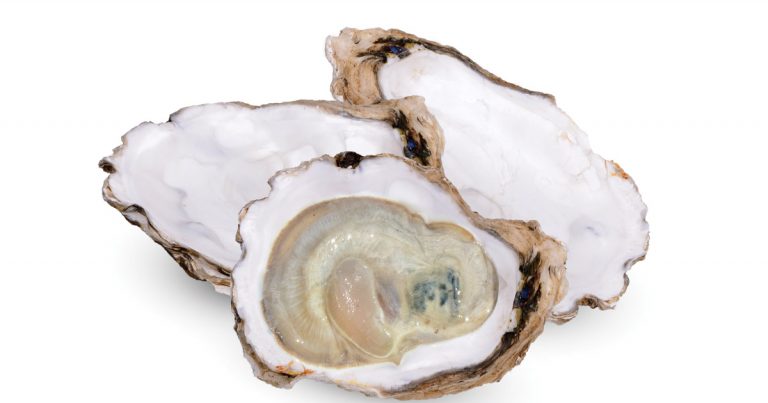 920 passion for oysters fb 768x403