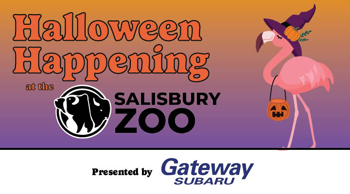 salisbury zoo halloween