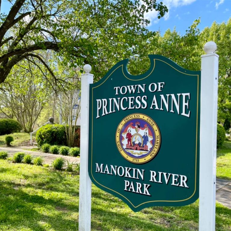 278472835 106721288681024 4736209937926994631 n 768x769