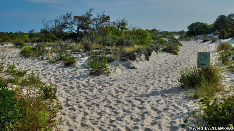 assateague 1 768x432