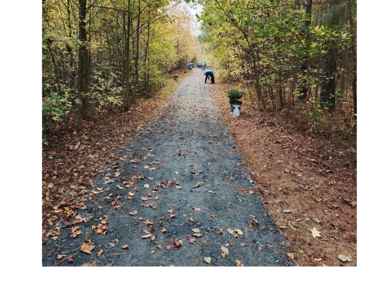 Hatties trail 2 768x577