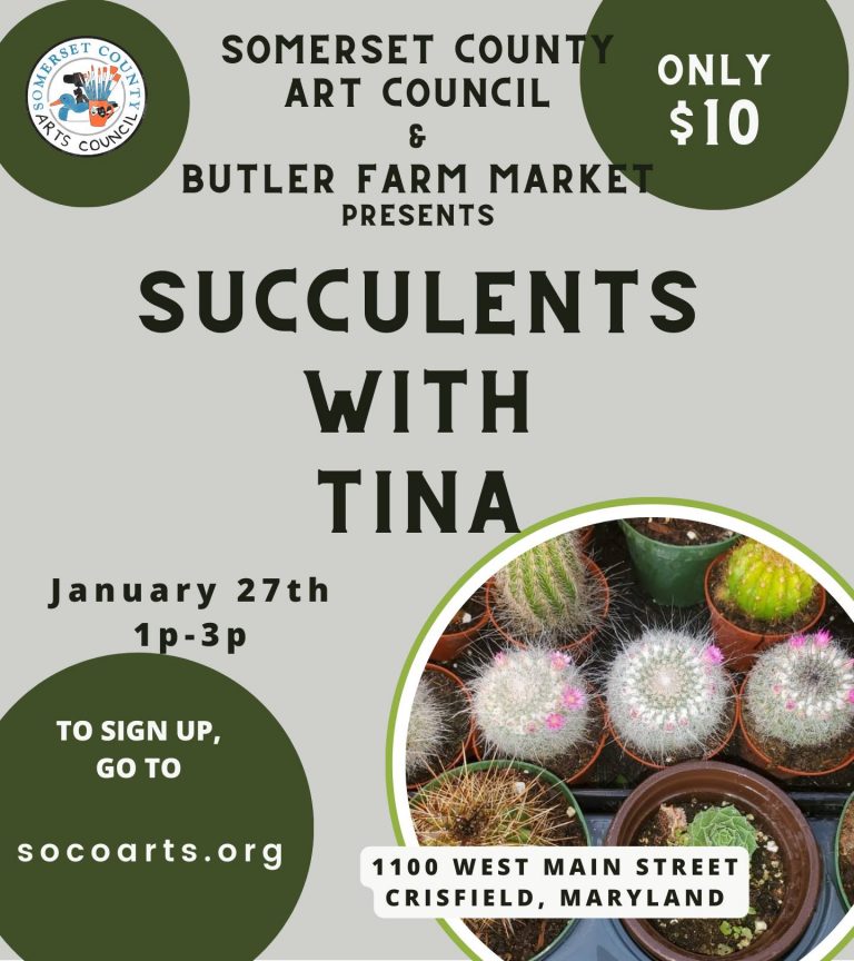 Succulents with Tina 768x864