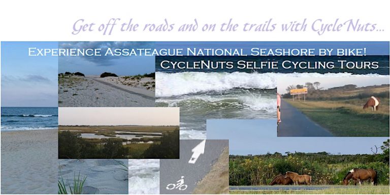 Cyclenuts Assateague Tour 768x384