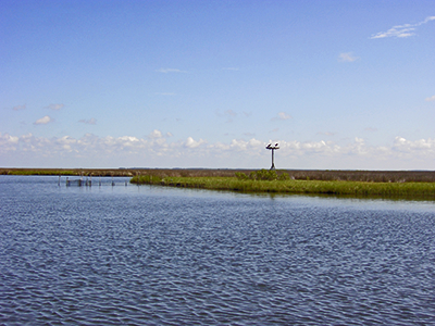 Janes Island State Park 1