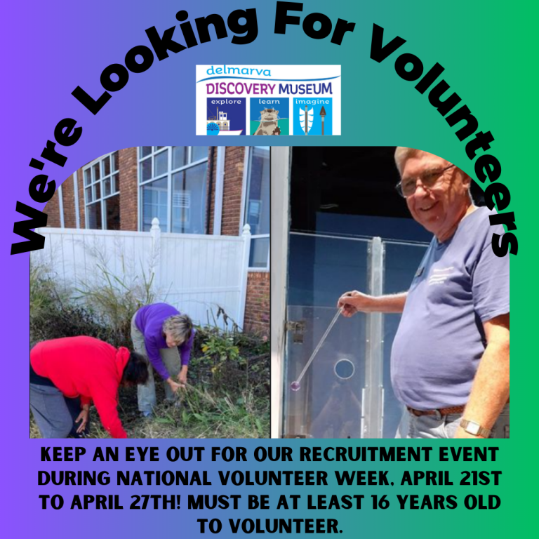 DDM looking for new volunteers 768x768