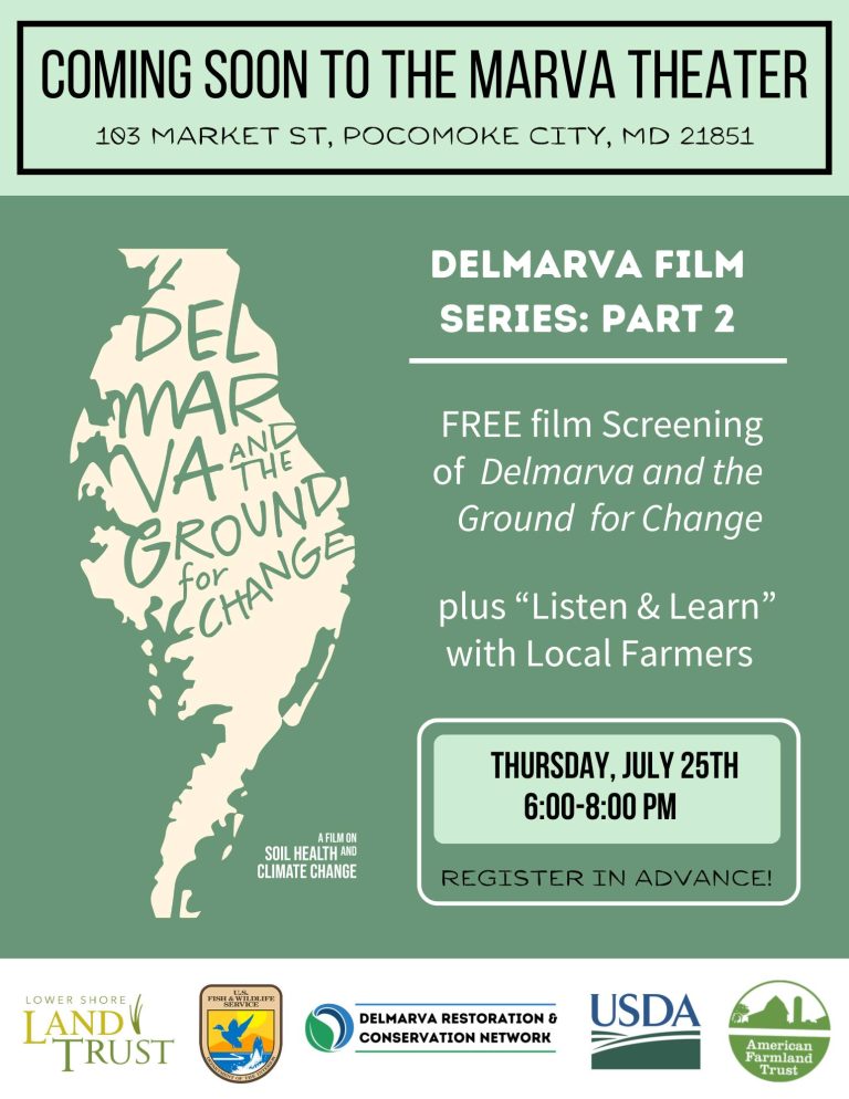 Delmarva Film Series July 25th 768x994