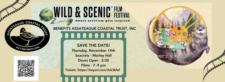 Wild and Scenic Film Festival November 14th 768x282