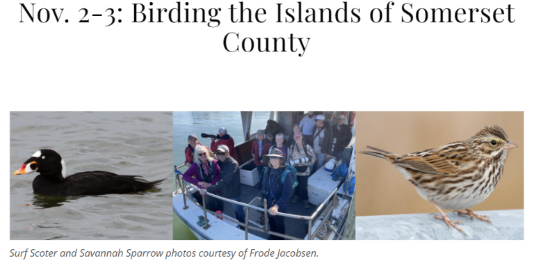 2024 Somerset County Birding 768x378