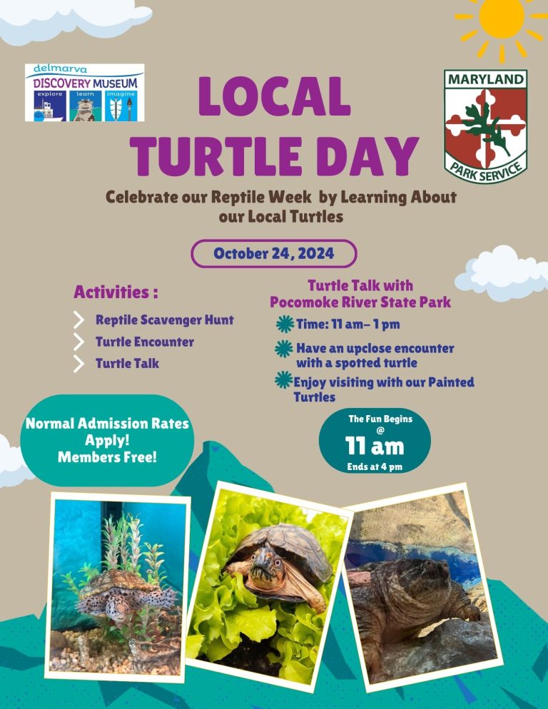 Local Turtle Day 2024 768x994