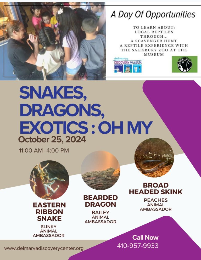 Snakes Dragons Exotics 2024 768x994