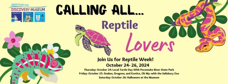 Reptile Week DDM 2024 768x284