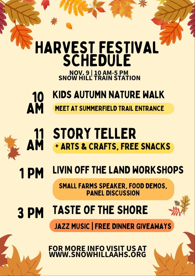 5th Annual Harvest Festival Schedule 768x1086