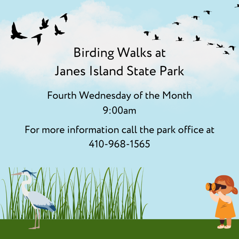 Birding Walks at Janes ISland State PArk 768x768