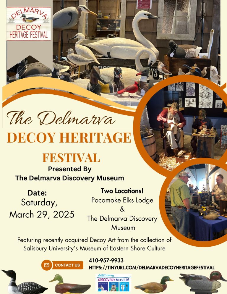 Delmarva Decoy Heritage Festival 768x994