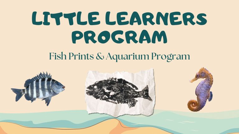 Little Learners Fish Prints 768x432