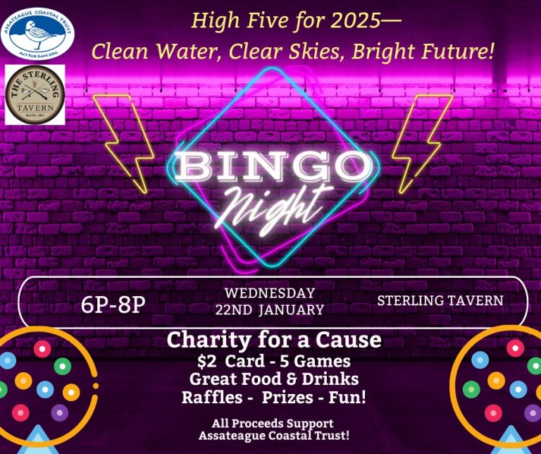 Bingo Sterling Tavern Jan 22 768x644