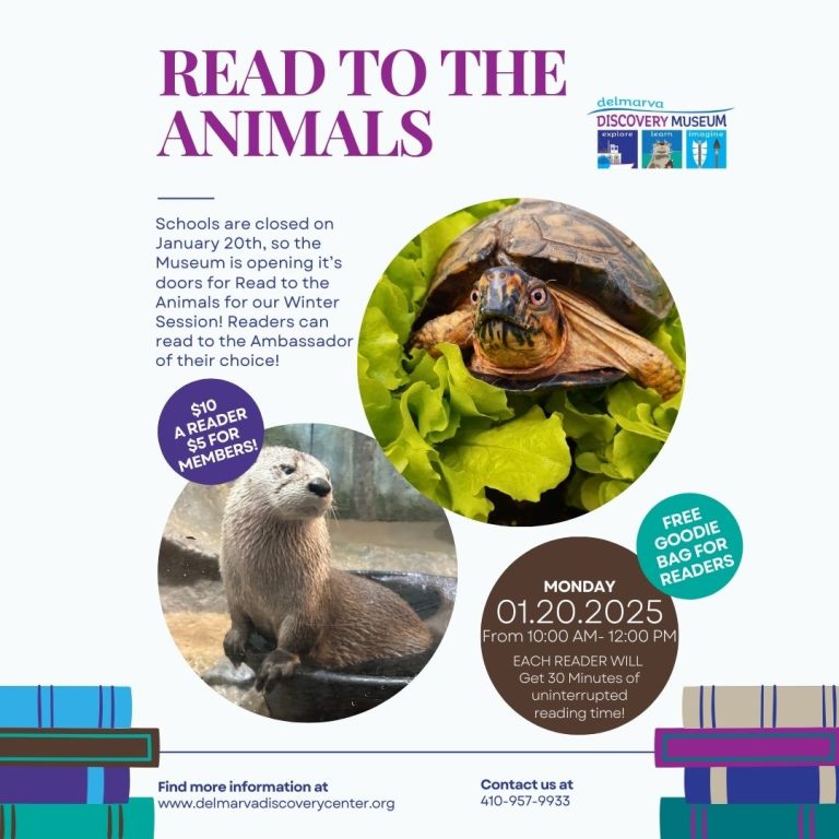 Read to the Animals 2025 768x768