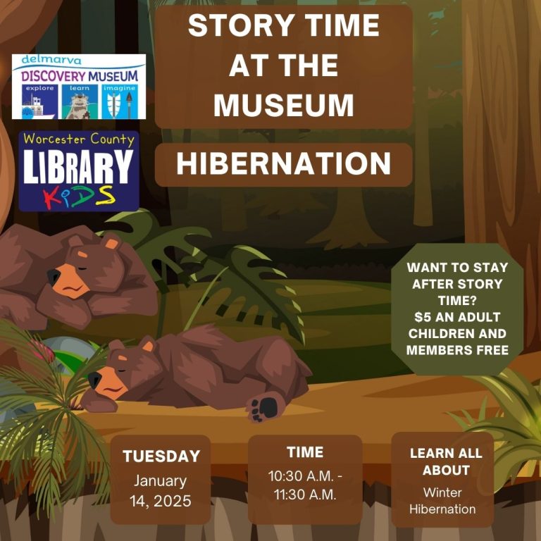 Story Time Hibernation 768x768