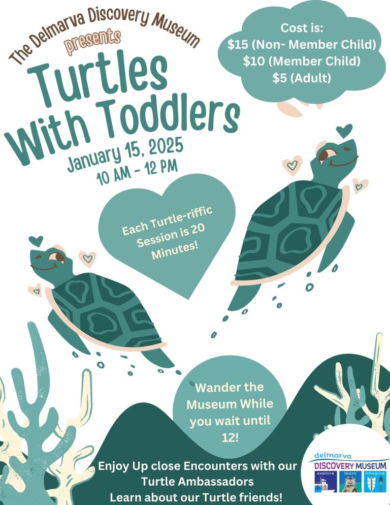 Turts with Toddlers 768x994