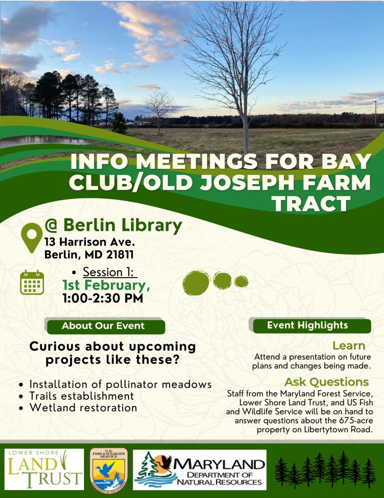 Info Meeting Bay Club 768x994