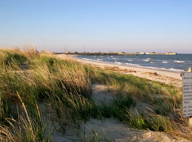 Kiptopeke State Park 2 1 768x568