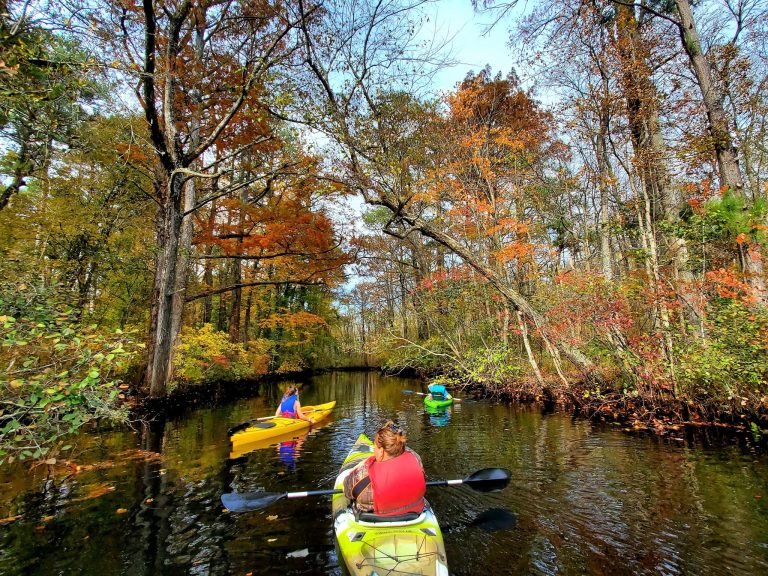 Paddling on the Pocomoke River Snow Hill1 3 768x576
