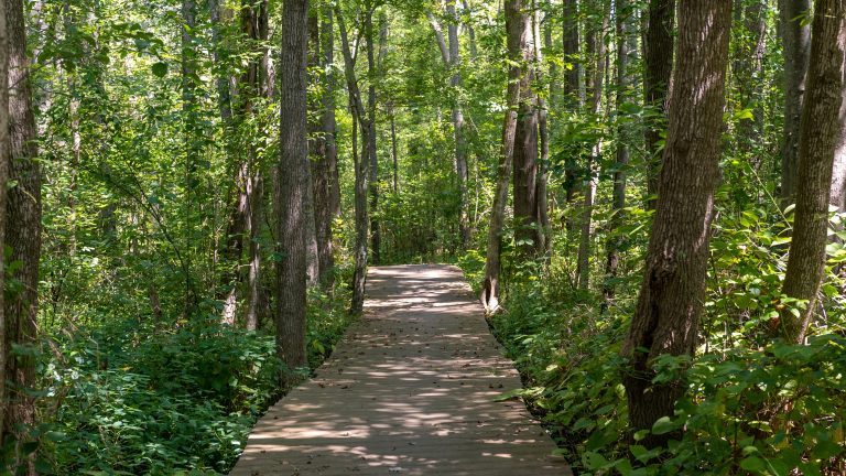 R Cypress Park Pocomoke City1 1 768x432