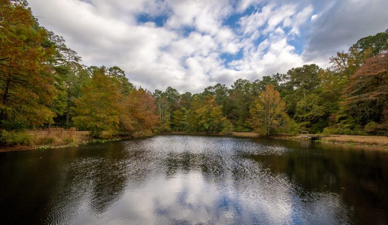 R Pocomoke River State Park Shad Landing Snow Hill 1 768x445