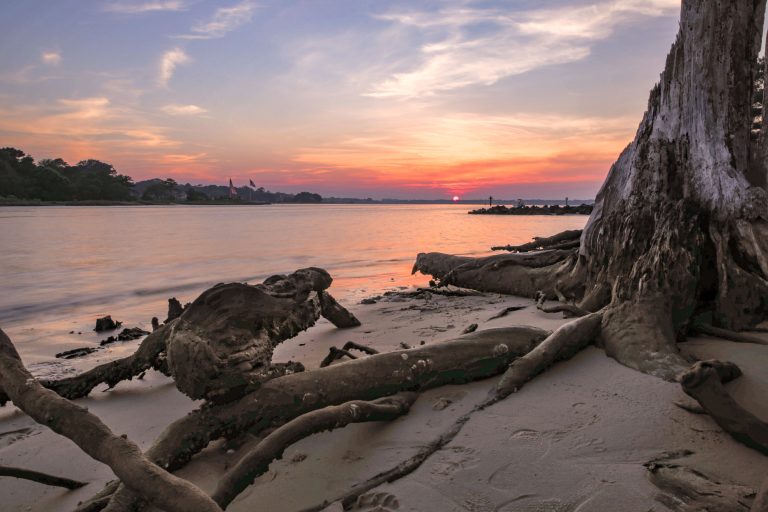 Resized First Landing State Park 3 1 768x512