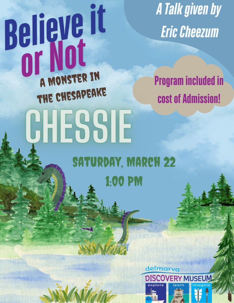 Chessie event 768x994