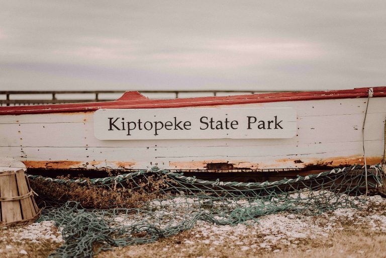 Resized Kiptopeke State Park 1 768x513