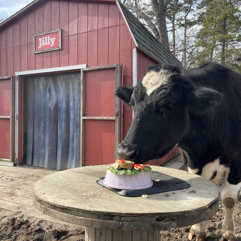 Jilly Zookeeper Julianna 768x768