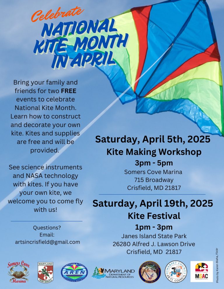 Kite Festival 768x994
