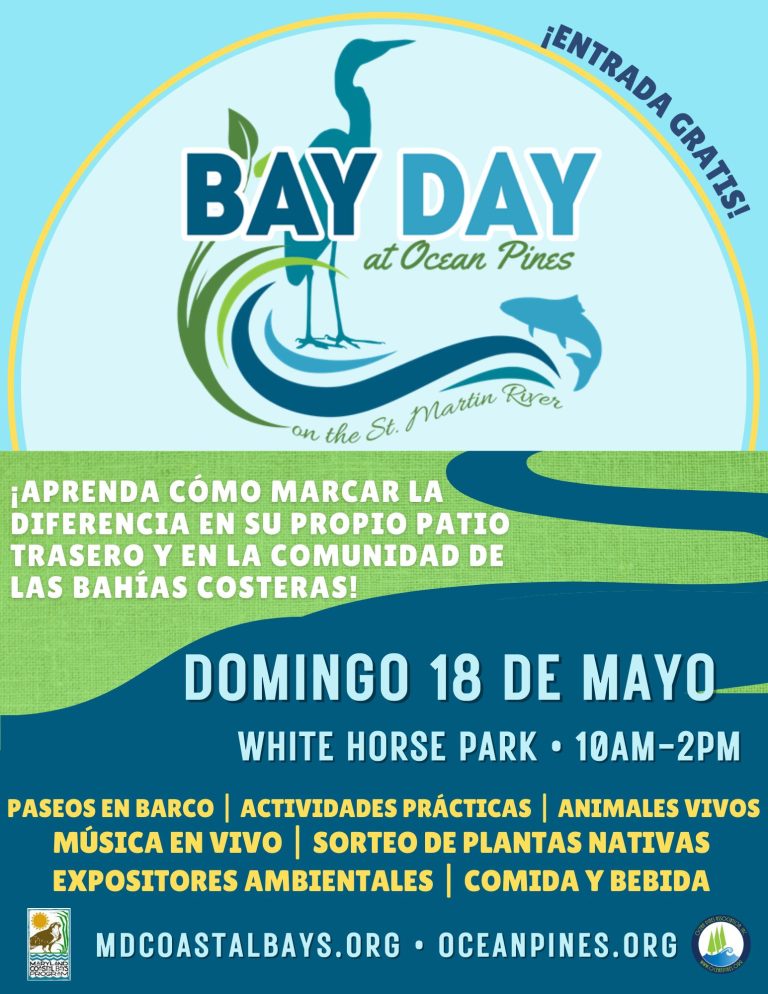 Bay Day Spanish 768x994