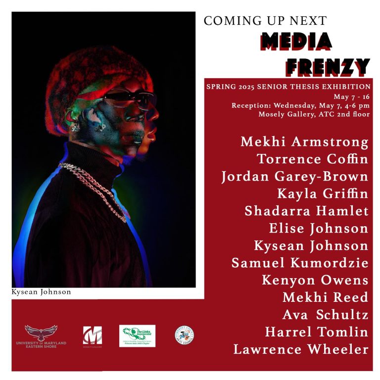 Media Frenzy Mosley Gallery 768x768