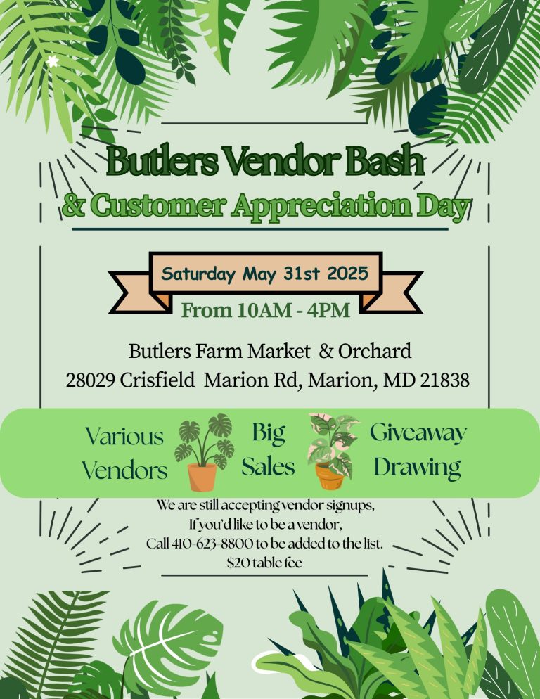 Vendor Bash 2025 768x994