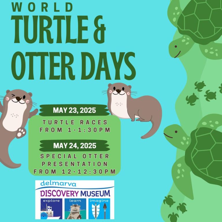 World Turt and Otter Day 2025 768x768