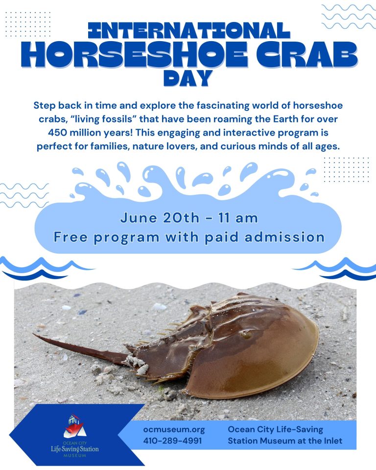 Horseshoe Crab Program Posts 768x960